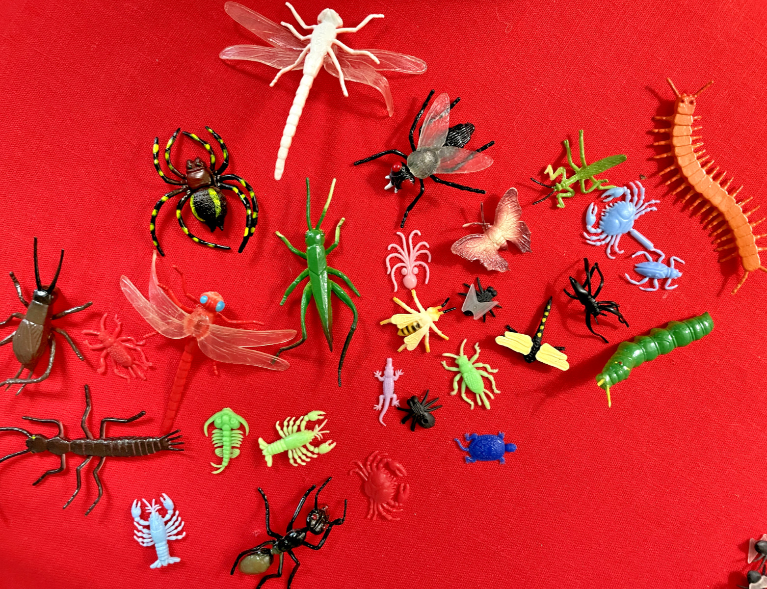 Bunch of Bugs – Assorted, Colorful, and Plastic – Over 1 Pound!
