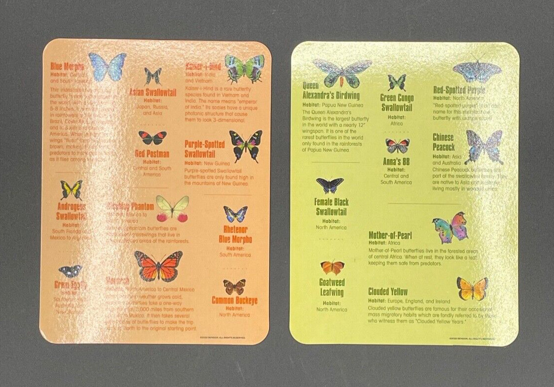 Magnetic Learning Activity S.T.E.M. Educational, Set of 3