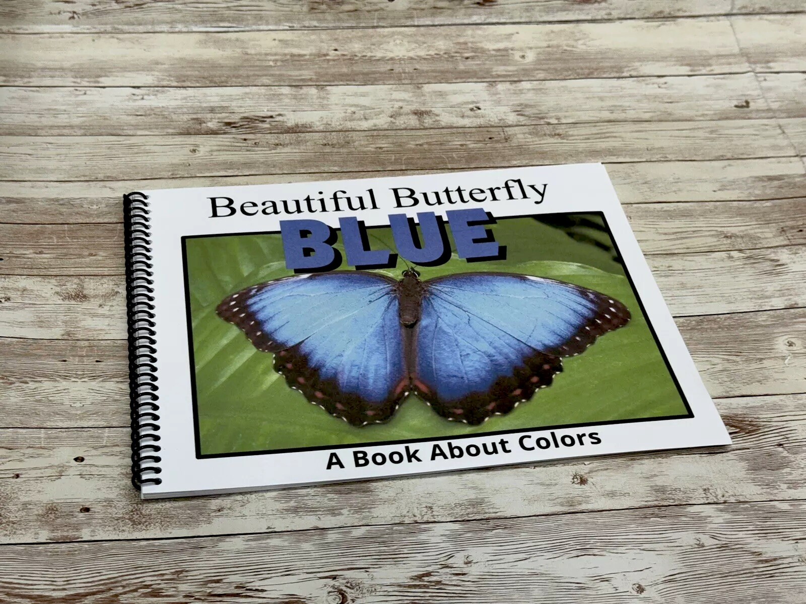 Colors Series – 6 Book Set | LEARNING COLORS | Spiral Bound Picture Book SET 1