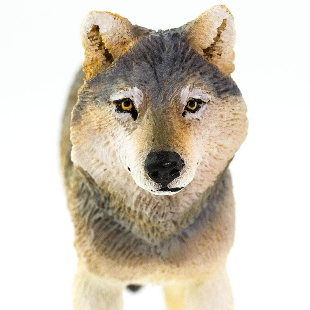 GRAY WOLF Animal Figurine Safari Ltd toy North American Safari Collection