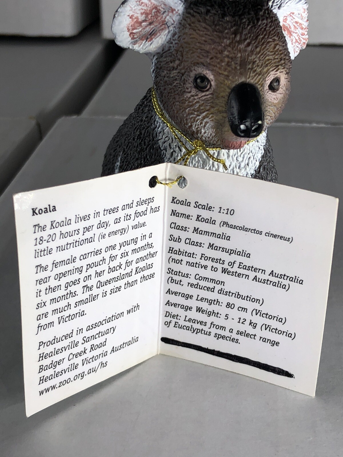 Koala Bear Science and Nature Australia Vinyl Toy Figure New With Tag Gray