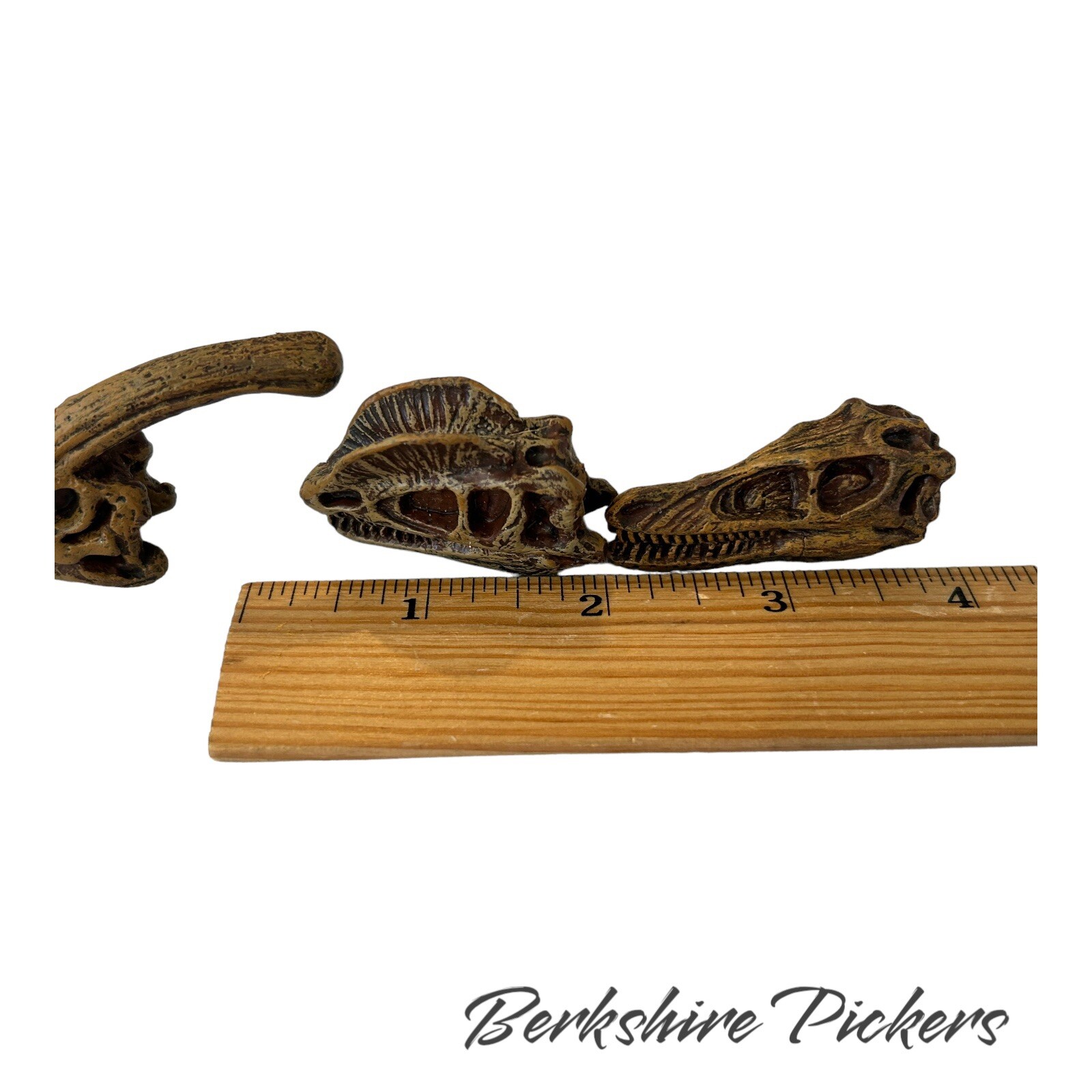 Safari Ltd Dinosaur Skull MINI Replica Lot Of 9