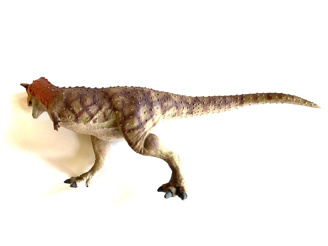 Safari Ltd. 10.5″ Long Carnotaurus Dinosaur Figure, 2019