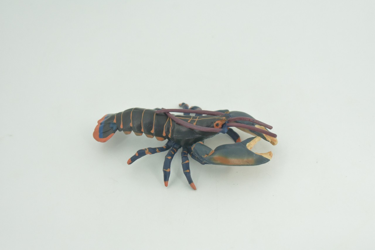Boston Lobster Toy Museum Quality Rubber Hand Painted Gift, 4 Inches CH1002BB218
