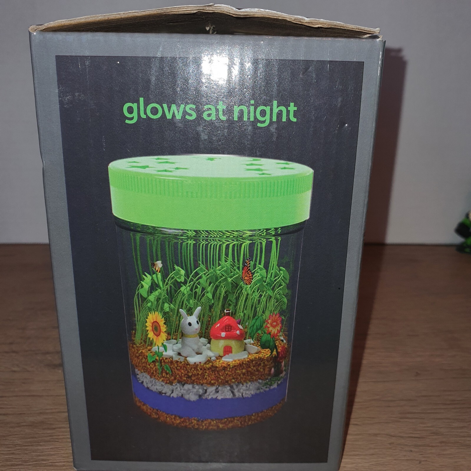 Light-Up Terrarium Kit for Kids – STEM Science Kits – Birthday Gifts for Kids…