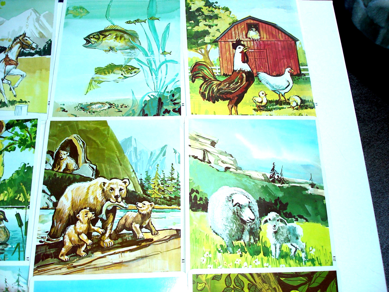 1968 Teacher’s Vintage Peek American Guidance Service Educational Picture Cards