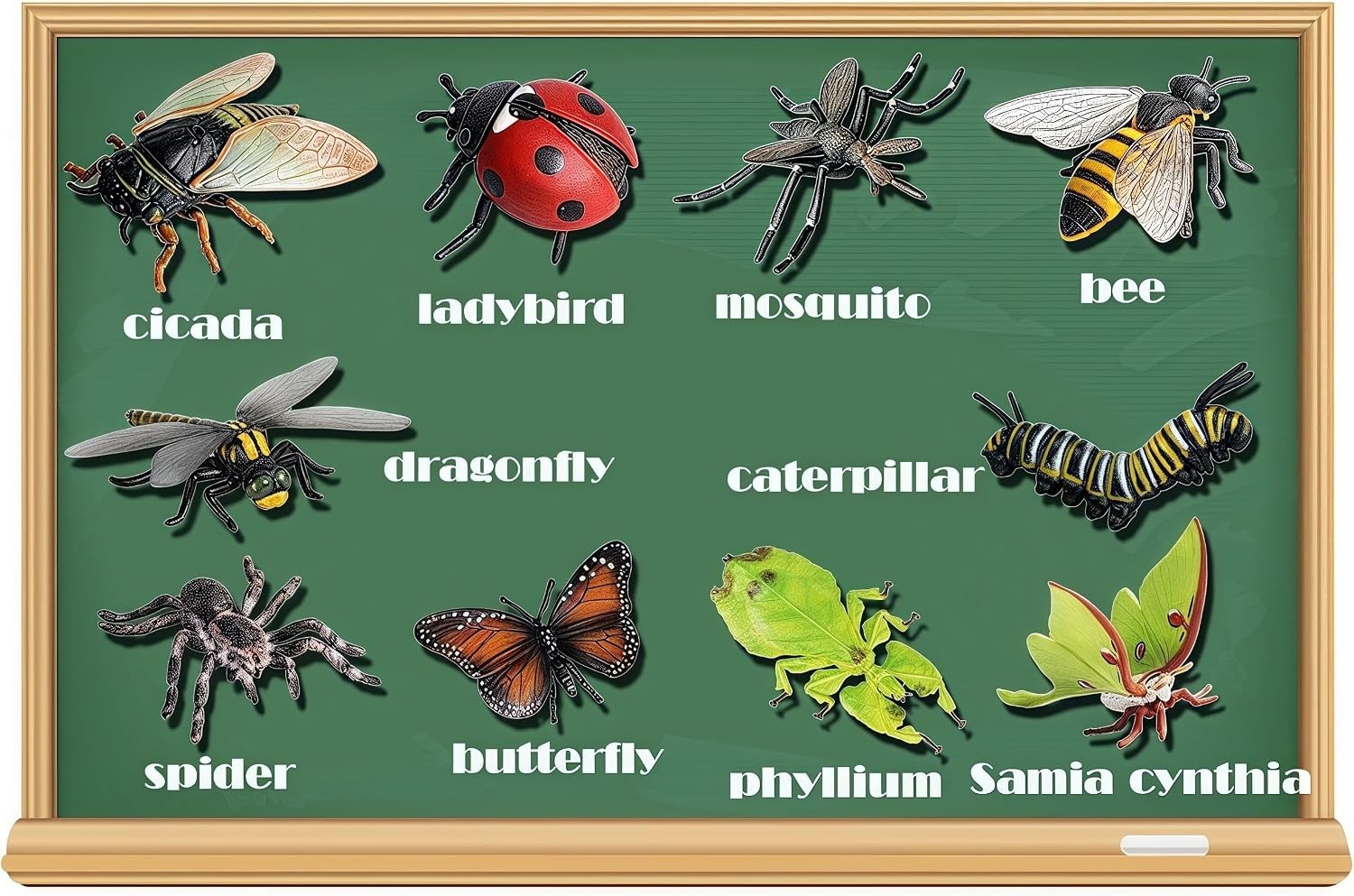 10Pcs Bug Toys for Kids, Woodland Animals, Insect Figurines, Cicada, Ladybird…