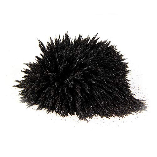 DAILYLIFE Iron Filings 1 LB Bulk Powder with 4 Magnets for Science Experiments