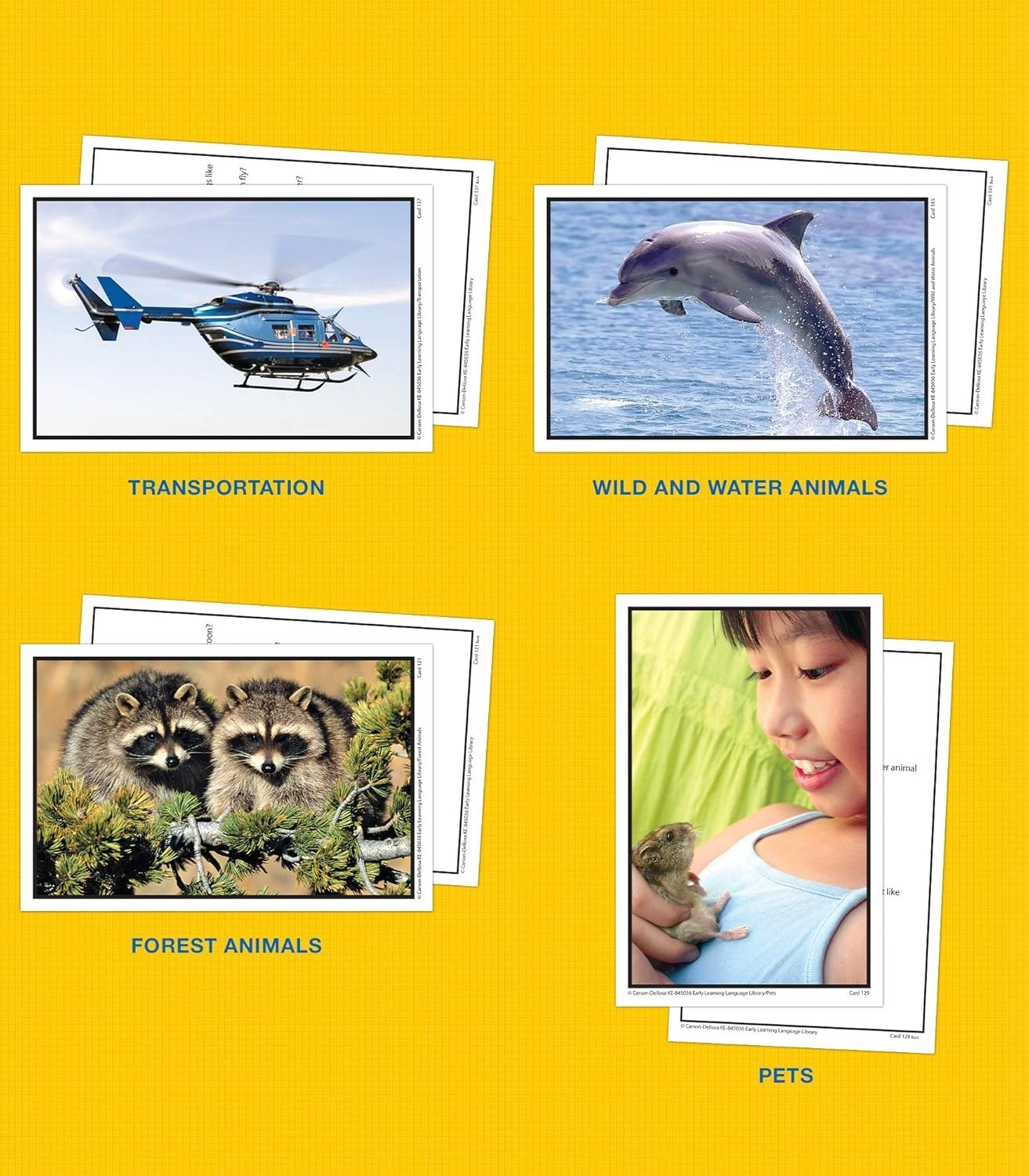 Complete Toddler Vocabulary Set: 160 Flash Cards with Resource Guide for Ages 3+