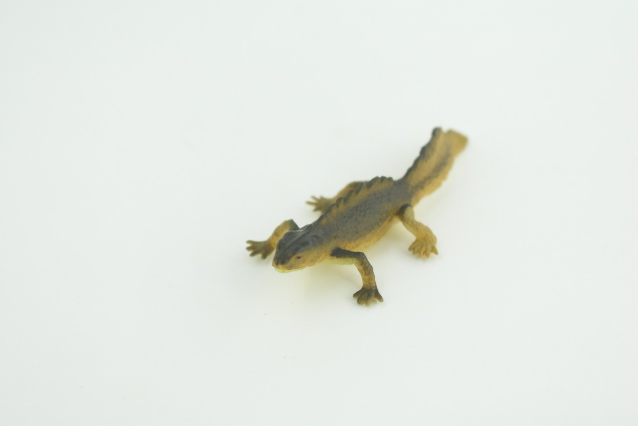 Toy Water Dragon, Sailfin Lizard, Realistic Hand Painted Rubber, 2″ WR48 B197