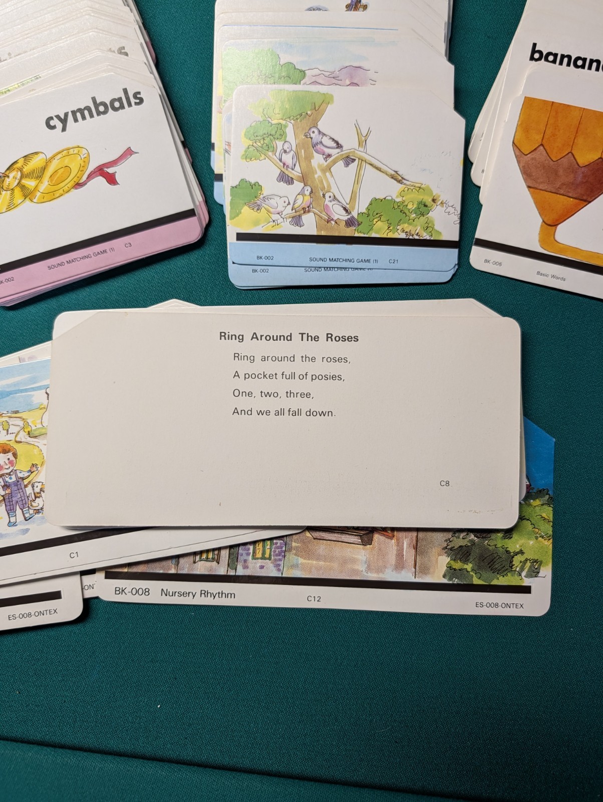 Audio Picture Learning Cards By Charlie 248 Cards For Use W/TK-348 Card Player
