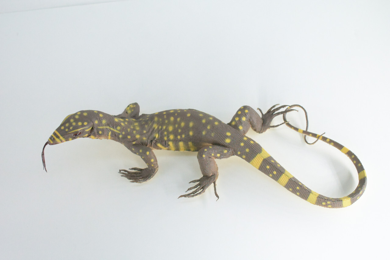 Realistic Monitor Lizard Toy Hard Rubber Lizard, Reptile, Model, 13″ IM20 B656