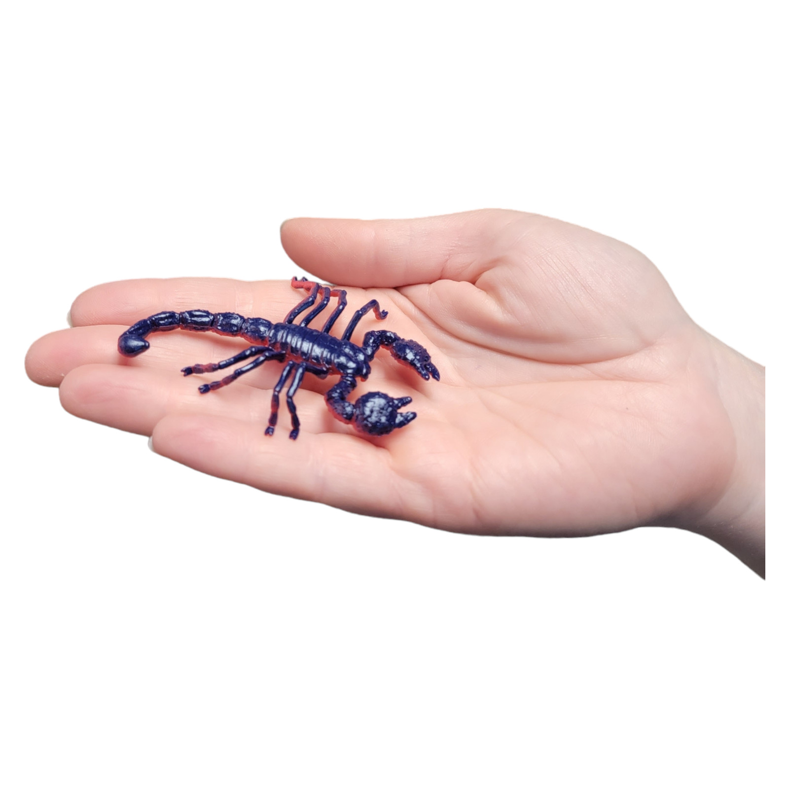 Large 2″-3″ Insect Set (12 Pack) Plastic. 12 Realistic Looking Mini. Lady Bug