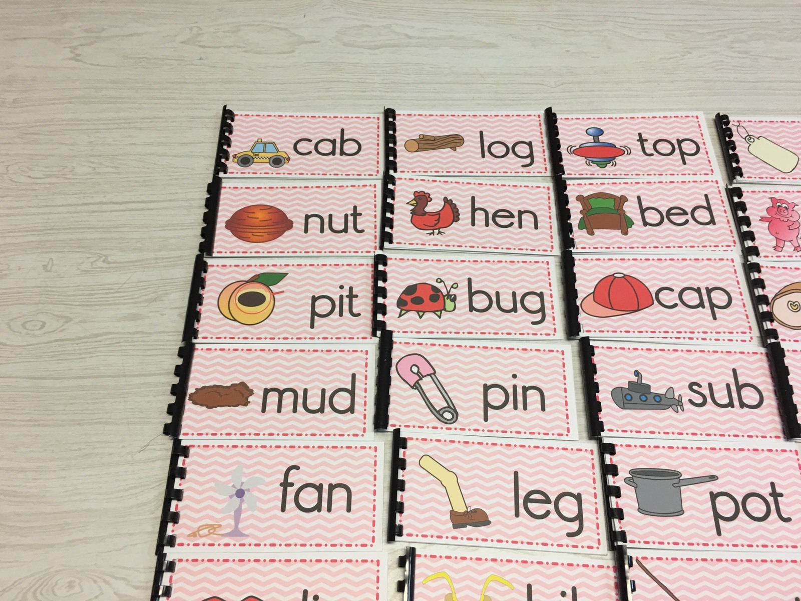 NEW Montessori Materials -The Pink Series – 24 CVC Word Families Booklets Pre-K