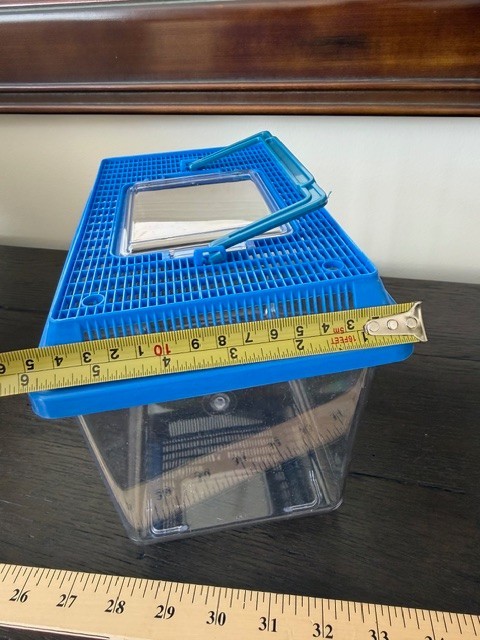 Kids Outdoor Bug Catcher Large Container Insect Specimen Acrylic (GR206)