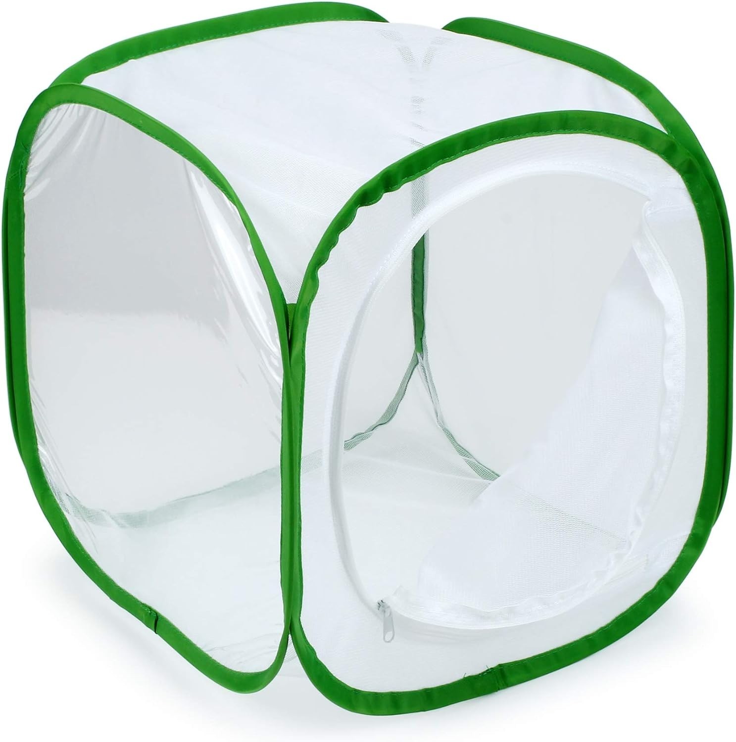 Insect and Cage Terrarium Pop-up 12 X 12 X 12 Inches