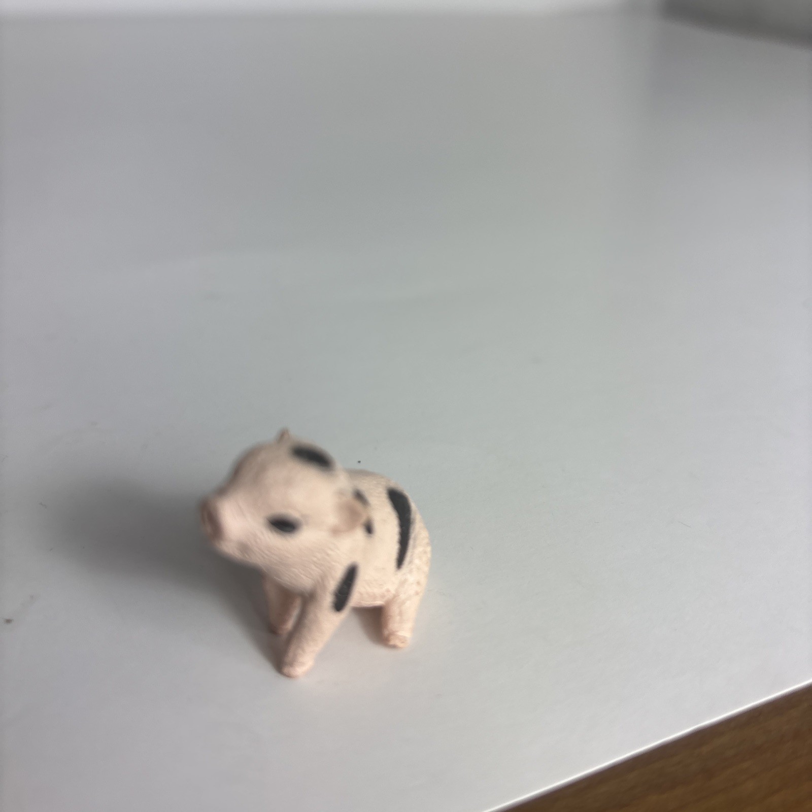 Animal Toys X 7; Schleich Cows, Schleich Pig, Unbranded Cougar, Jakks Llama