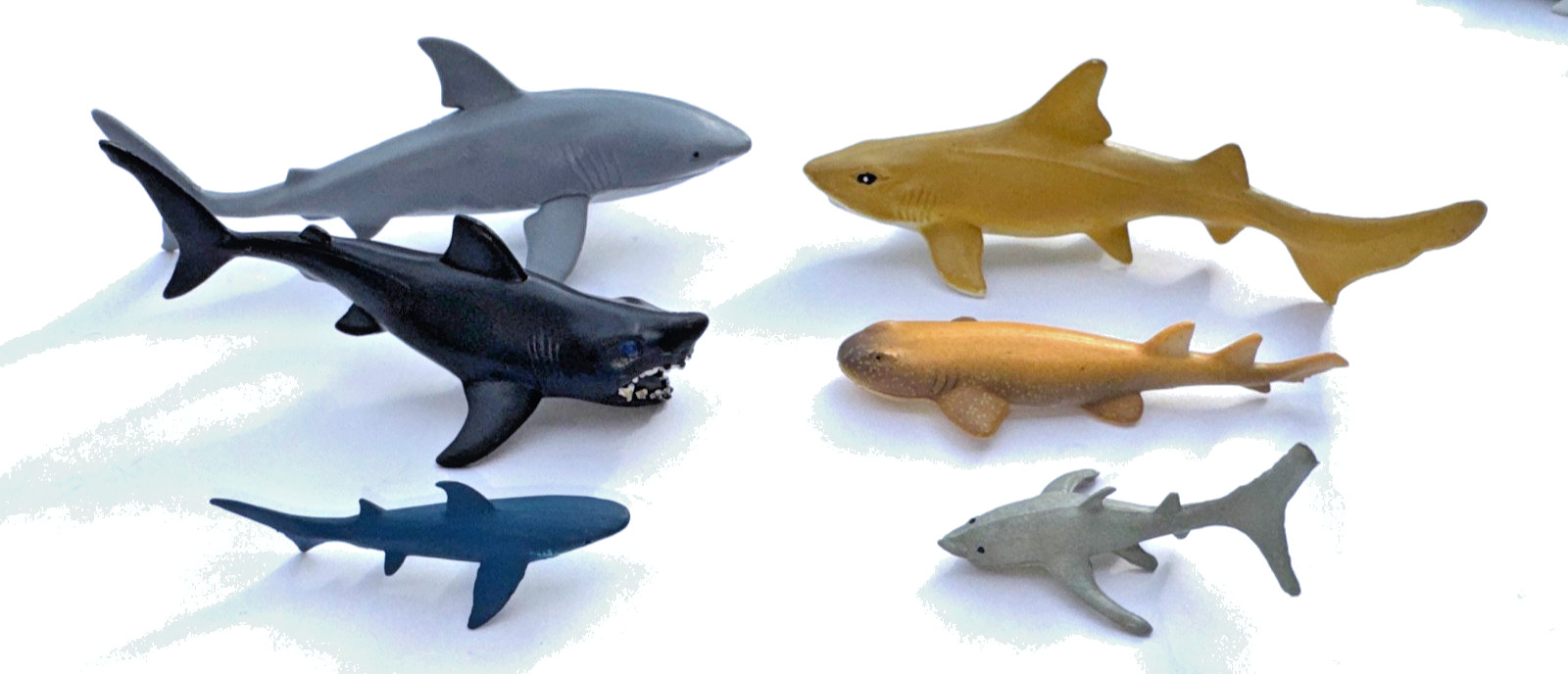 Ocean Animal Figure Lot – 22 Sharks + Dolphin + Beluga Whale– Toy Set