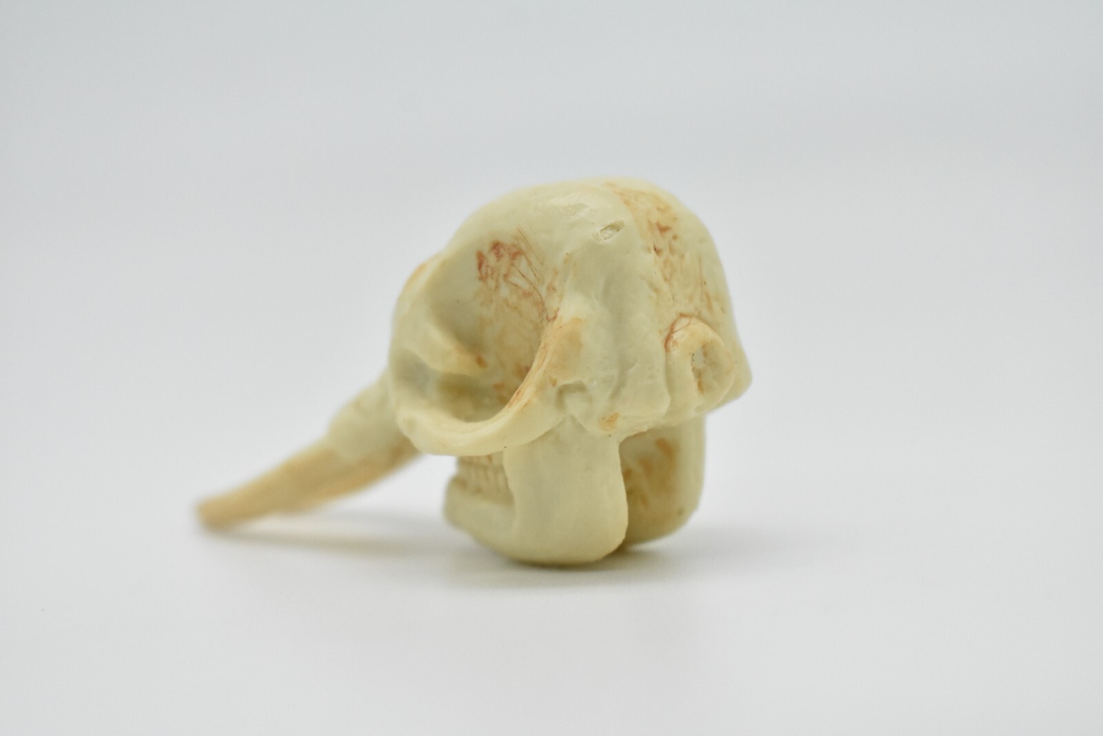 Elephant Skull, Very Nice Plastic Reproduction 2 1/2 inches long F4120 B193