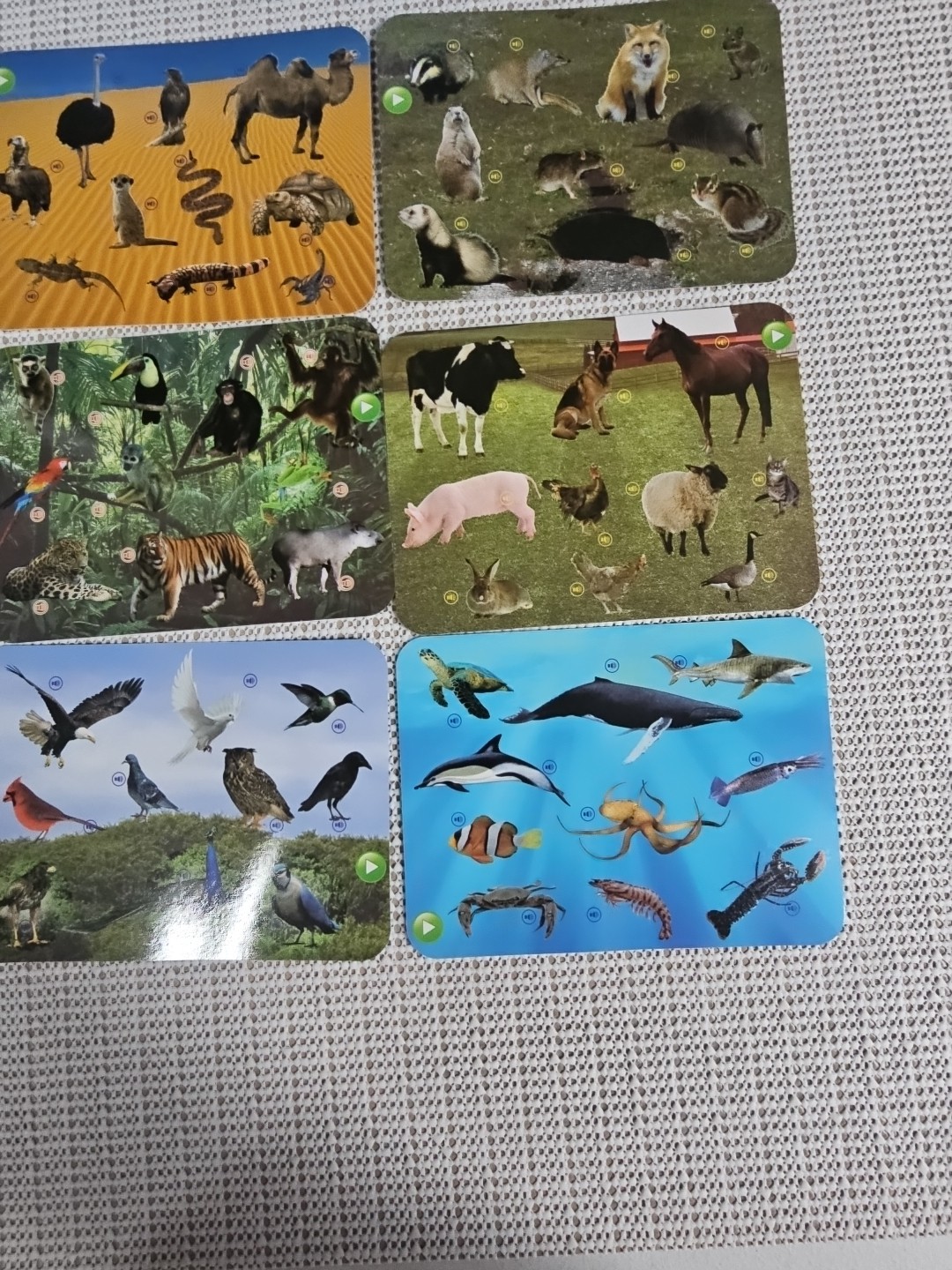 Smart Play Pad Game Electronic Learning Animal Planet Animals Of The World 3+