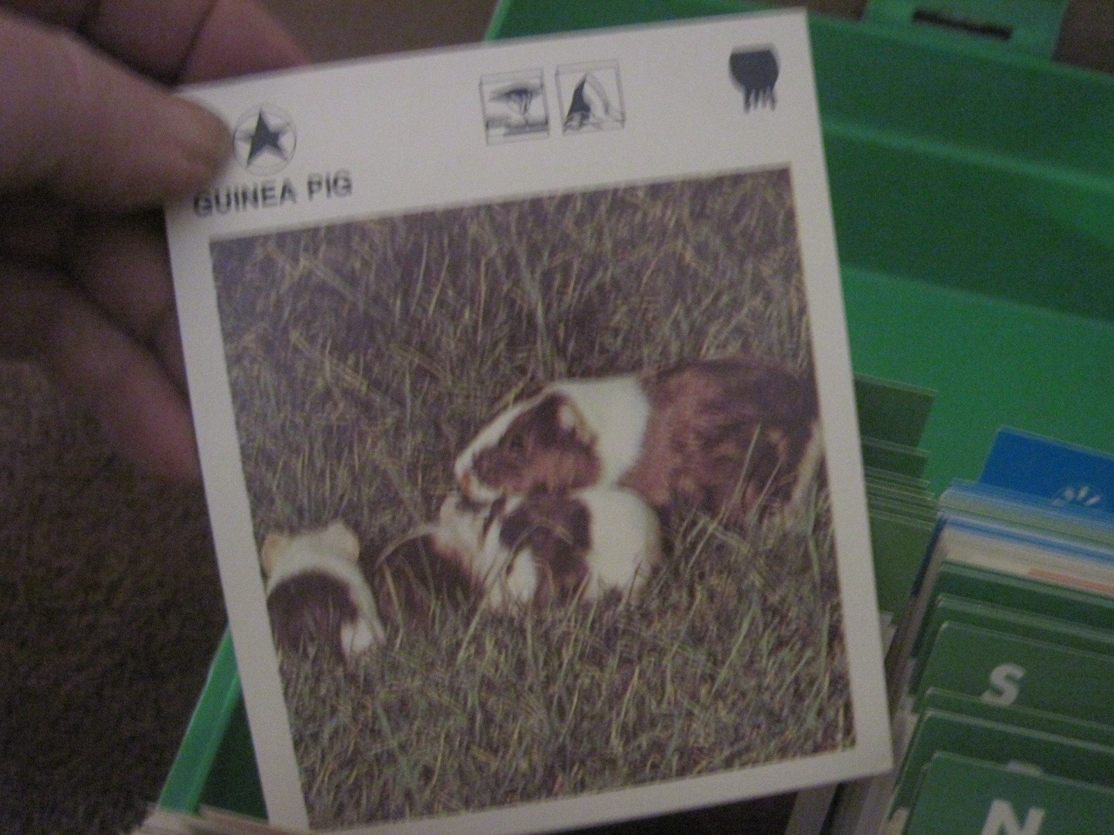 1970’s Illustrated Wildlife Treasury Animal Fact Cards & Carrying Case 400+ card