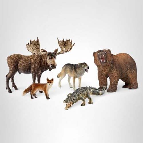 Schleich Wild Life – 5PC North American Animal 5 Piece Assortment, Multi
