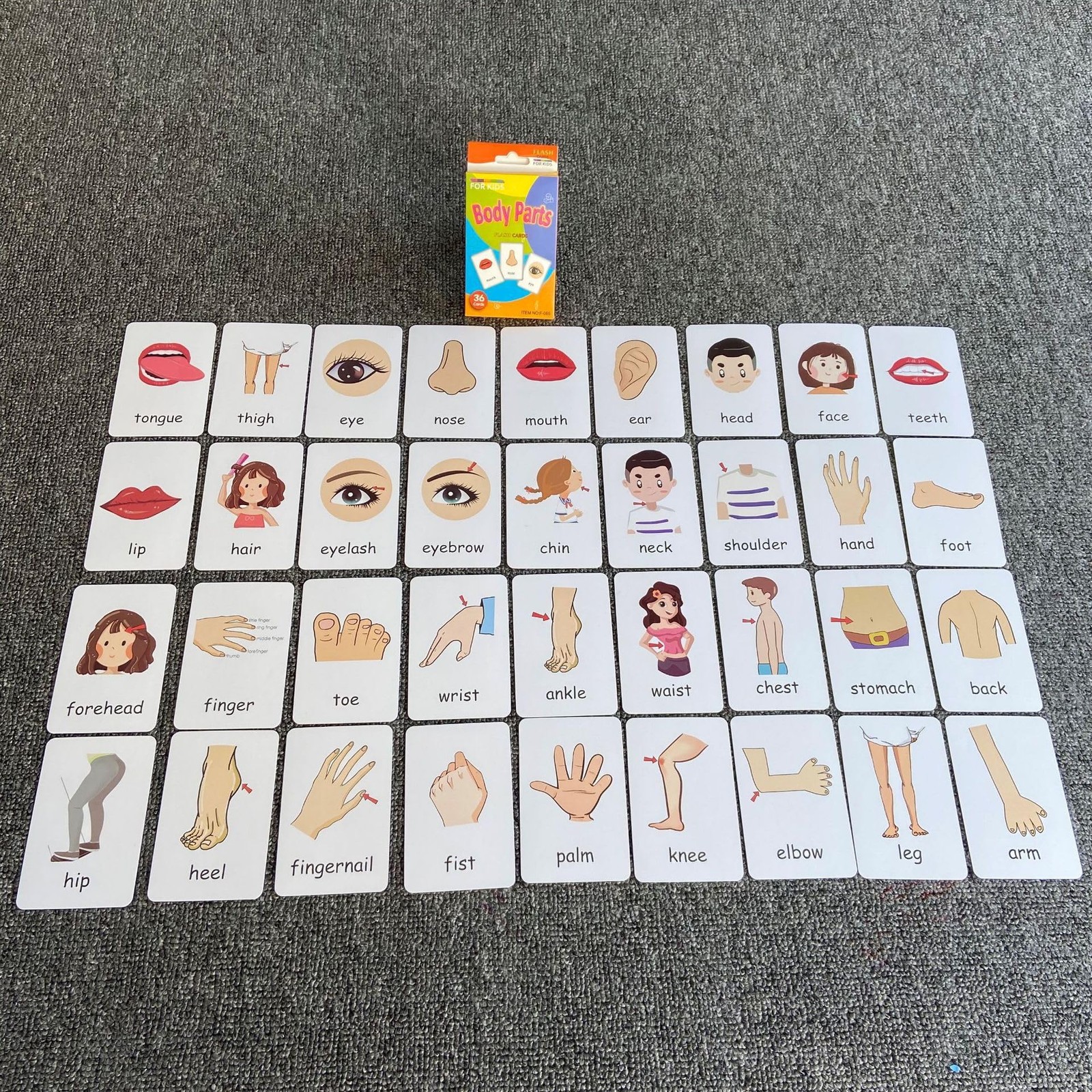 Flash Cards for Toddlers, Educational Learning Set of 144, Body Animal Food F…
