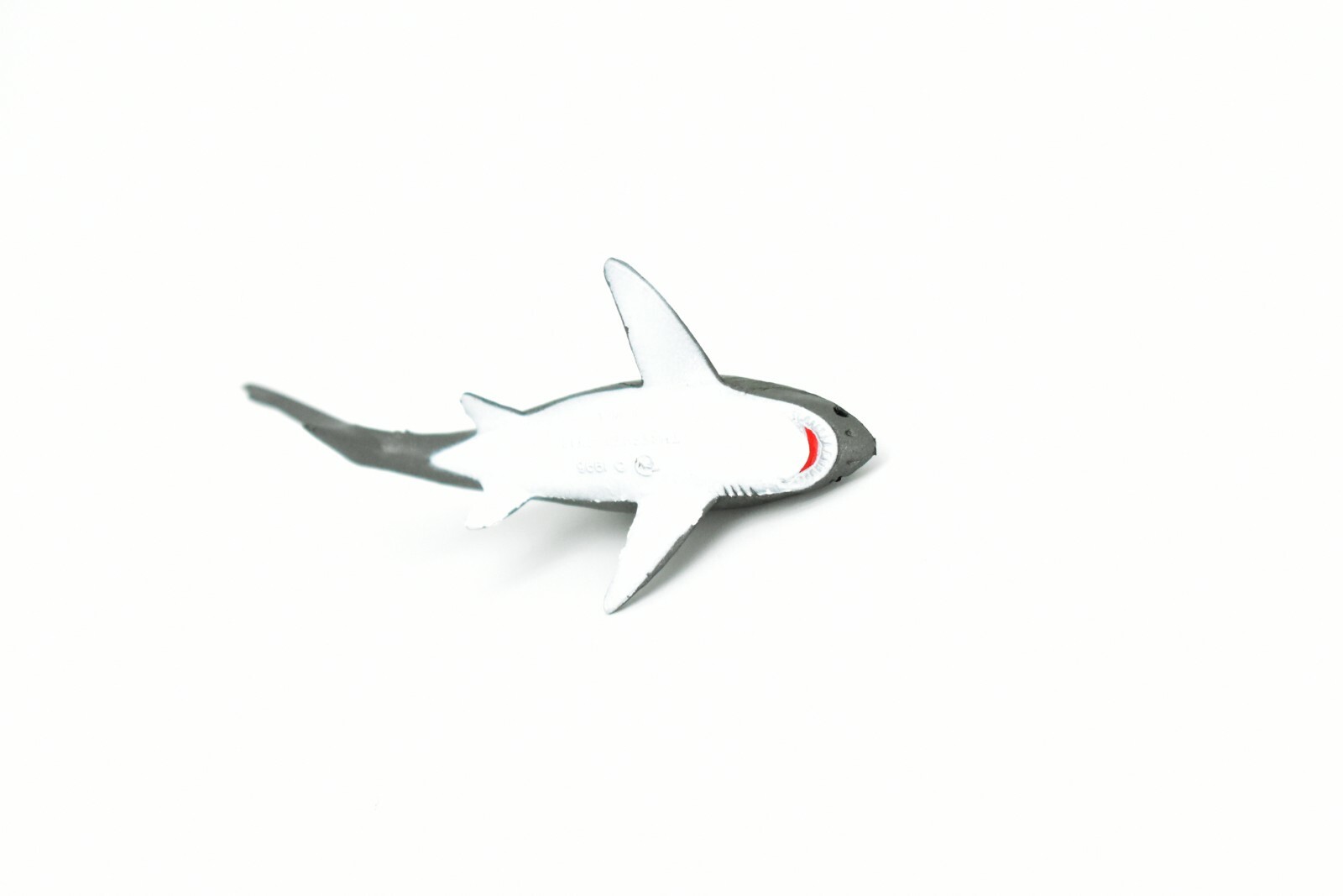 Thresher Shark, Very Nice Plastic Replica 3″ – F1012 B118