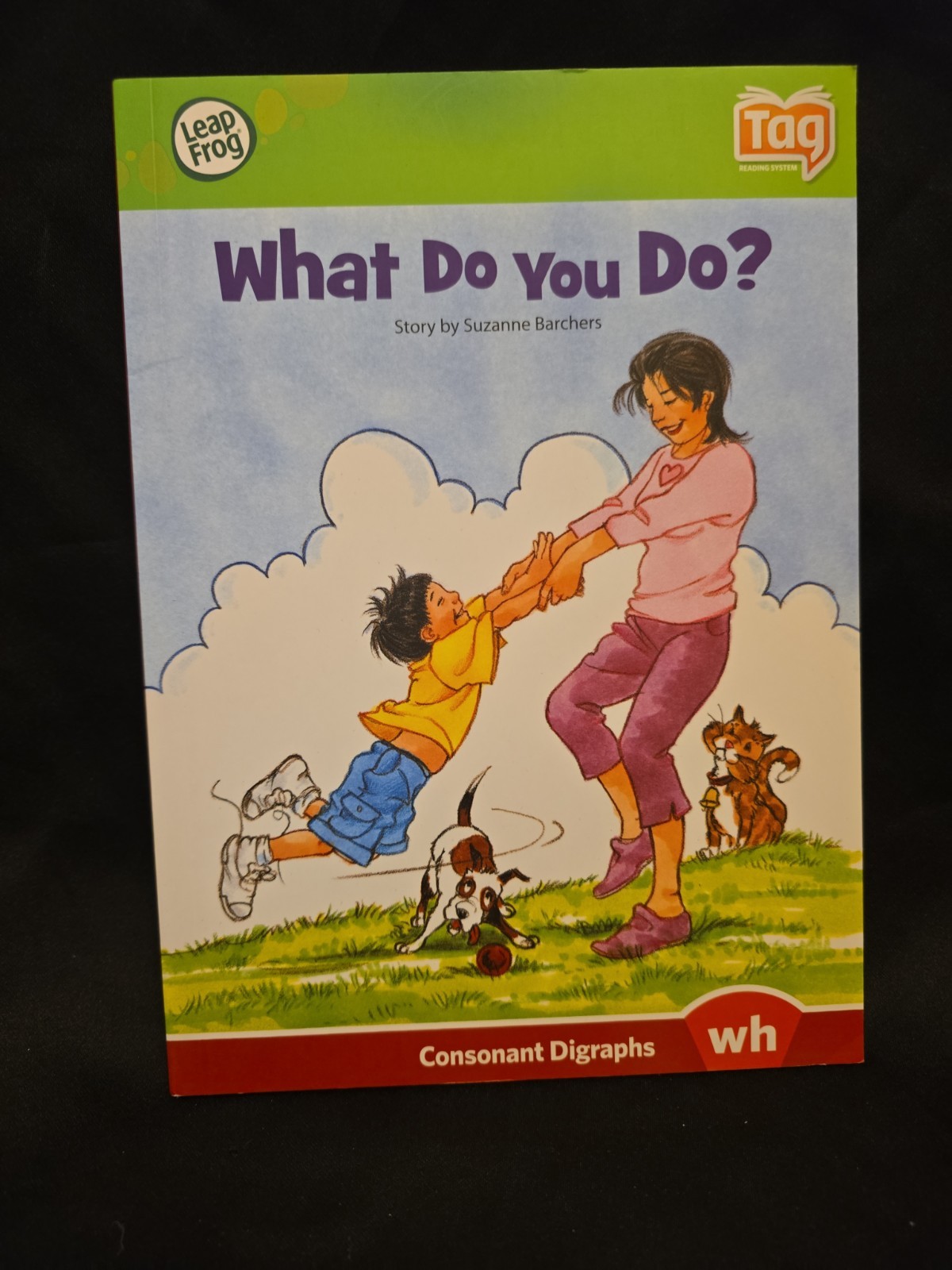 Leap Frog Early Reading Vowels Series LeapReader Interactive Books Lot of 18