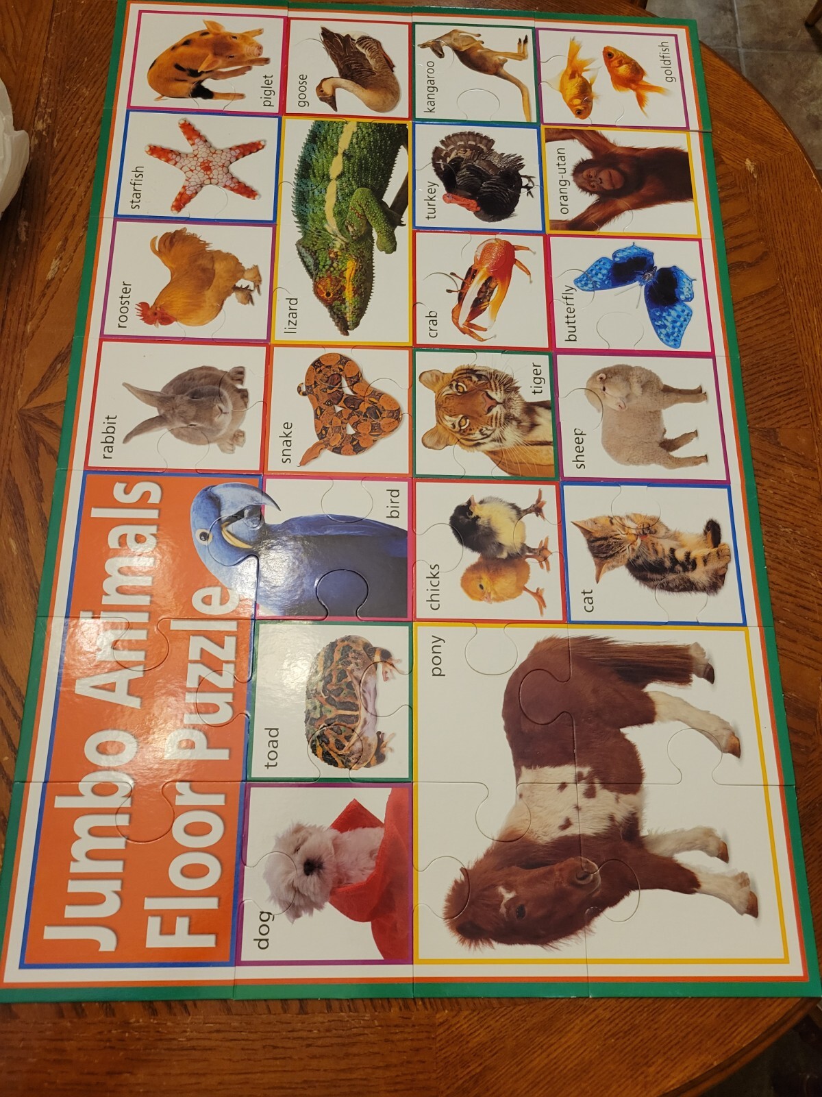 Educational Early Learning Animals Slide Flash Cards 28 pc Floor Puzzle Poster