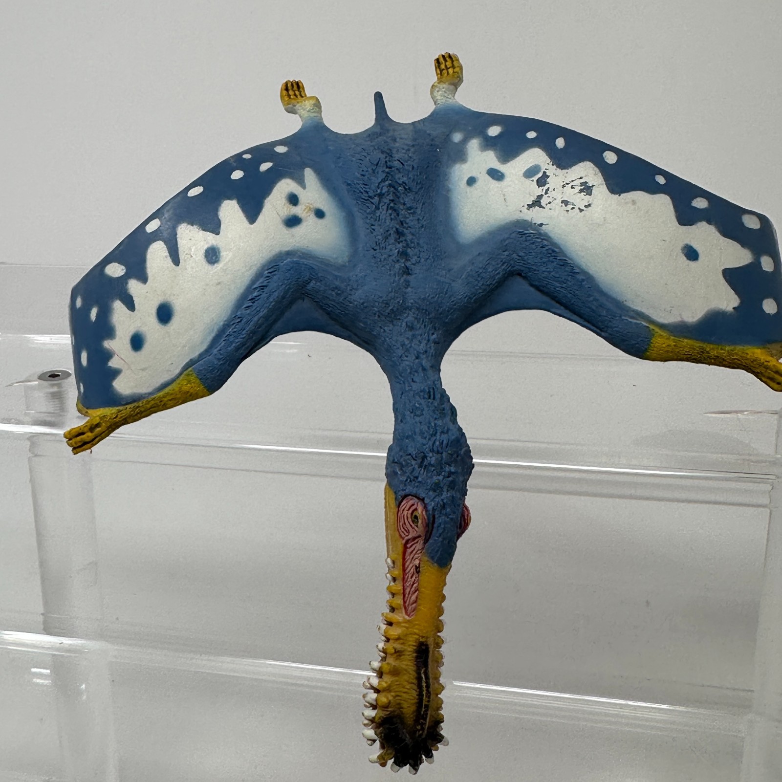 Schleich Anhanguera Figure Blue Prehistoric Dinosaur Animal Figurine 5.5″ 2014