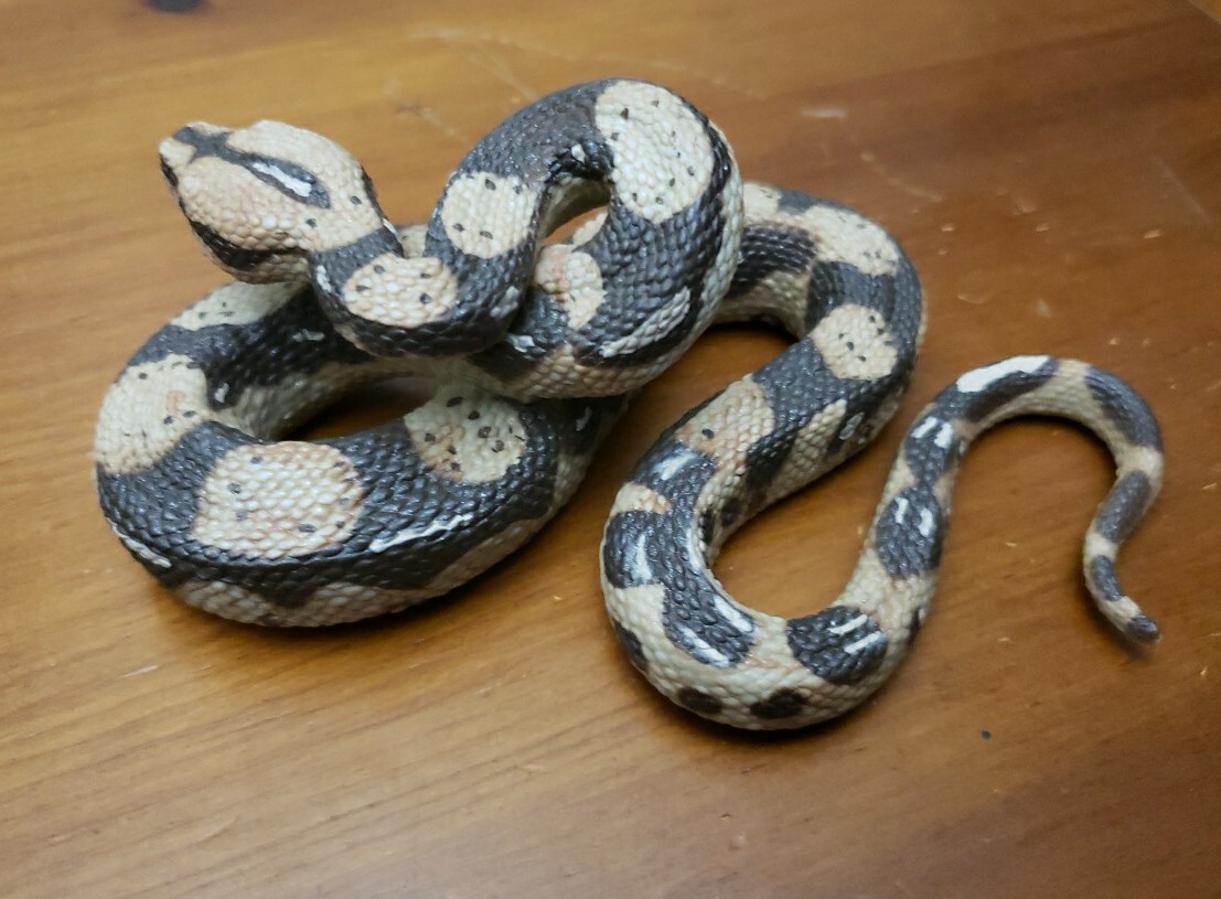 Boa Constrictor Python Realistic Toy Snake Education Prank Safari Ltd Animal Fig