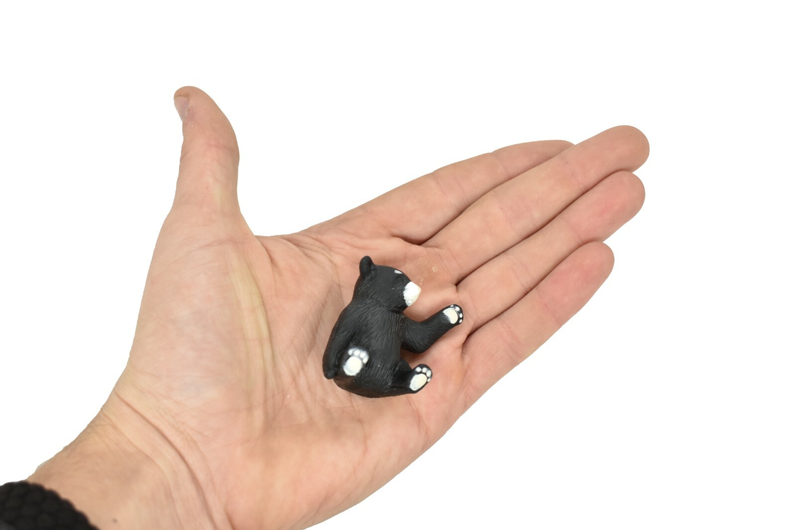 Black Bear, Baby Sitting ~ Plastic Replica 1 3/4″ ~ F243-B206