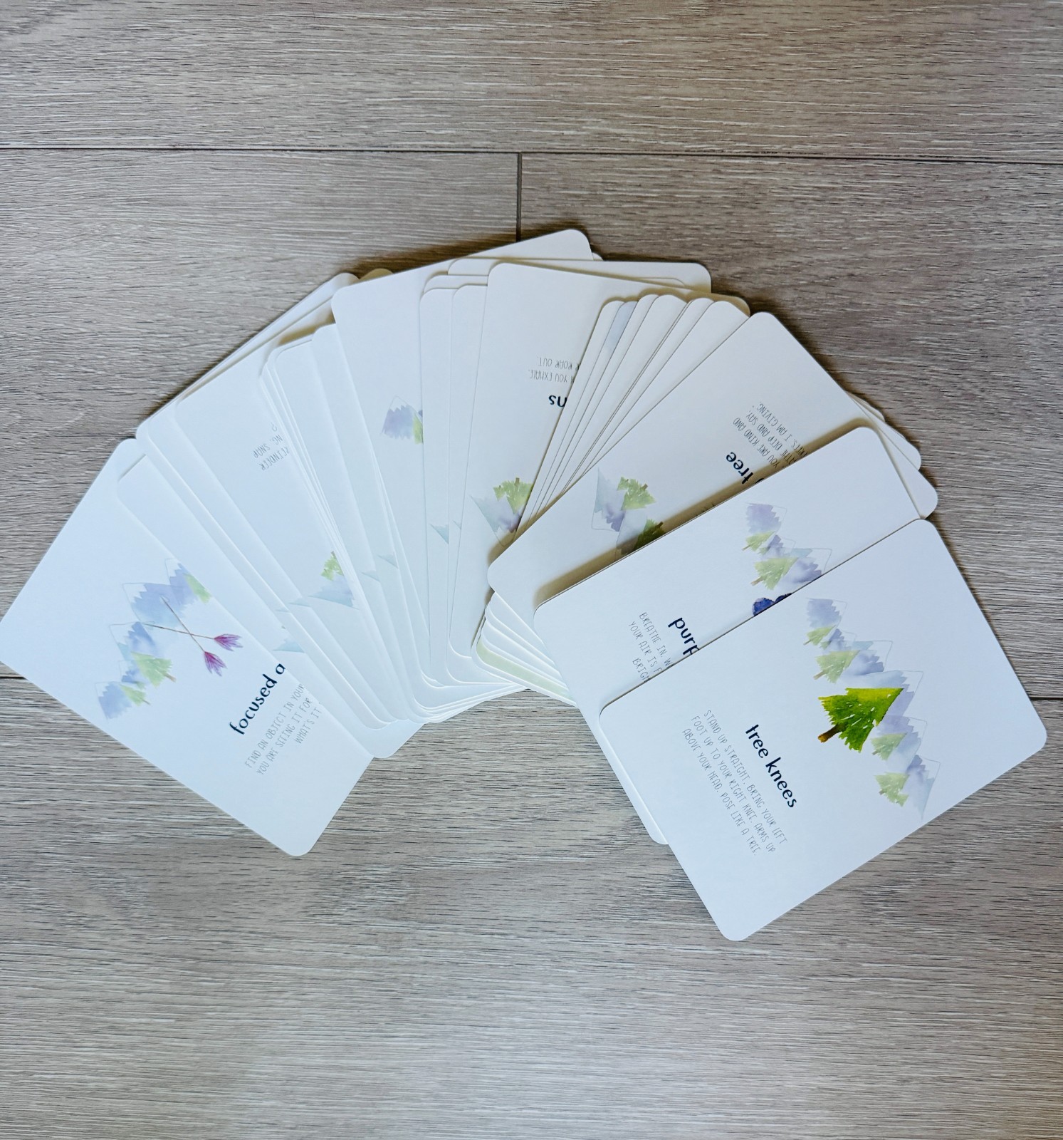 Little Renegades Mindful Kids Cards Ages 3+ Daily Exercises of Mindfulness New