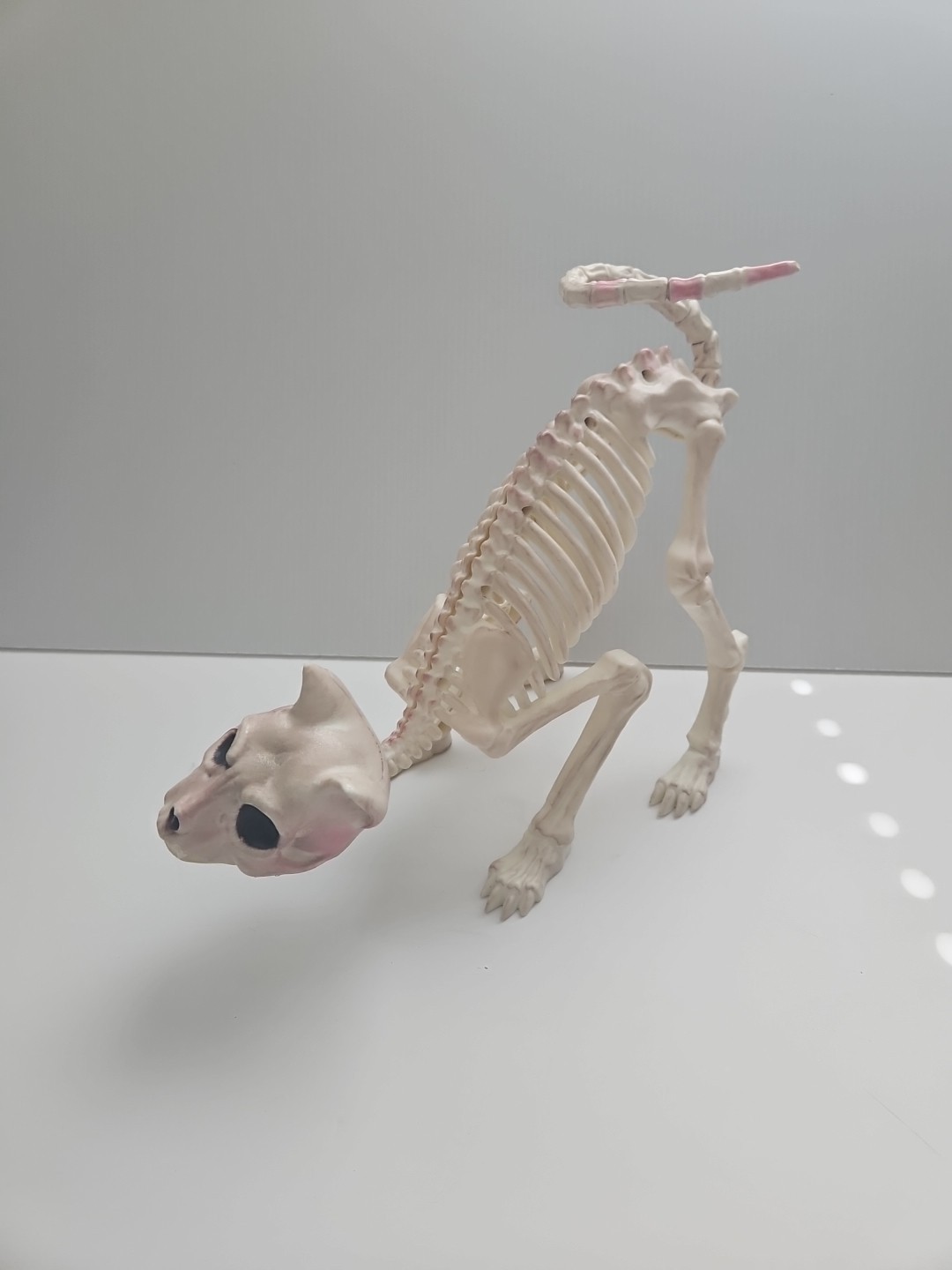 Halloween Scary Skeleton Decoration 1 PC Crouching Cat Skeleton Cat Skull Model