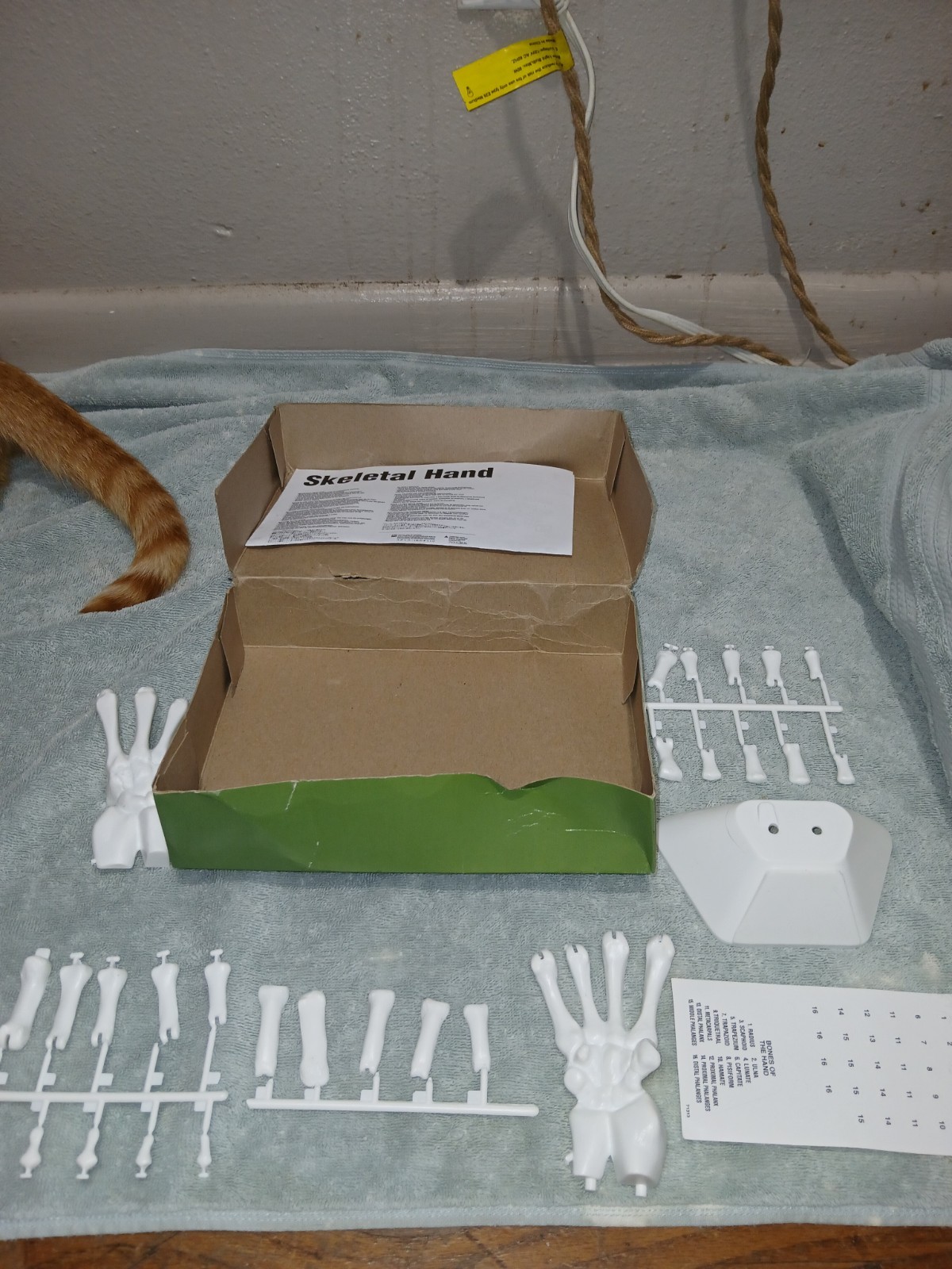1991 Lindberg Skeletal Hand Life Size Model Kit New Great Prop Or Educational