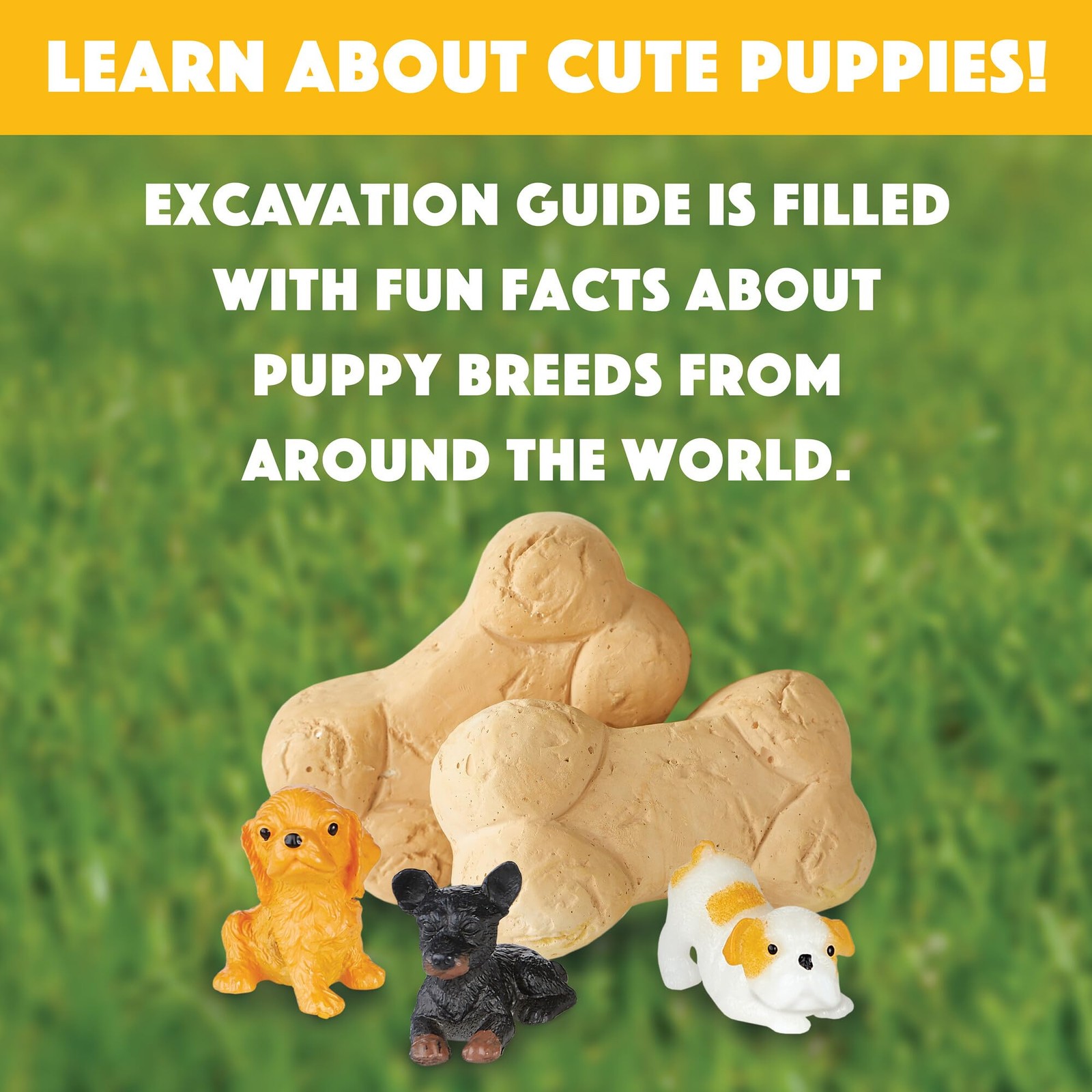 Dig it Up! Puppies Excavation Kit – Educational Toys for 4 and Up – Dig Kit w…