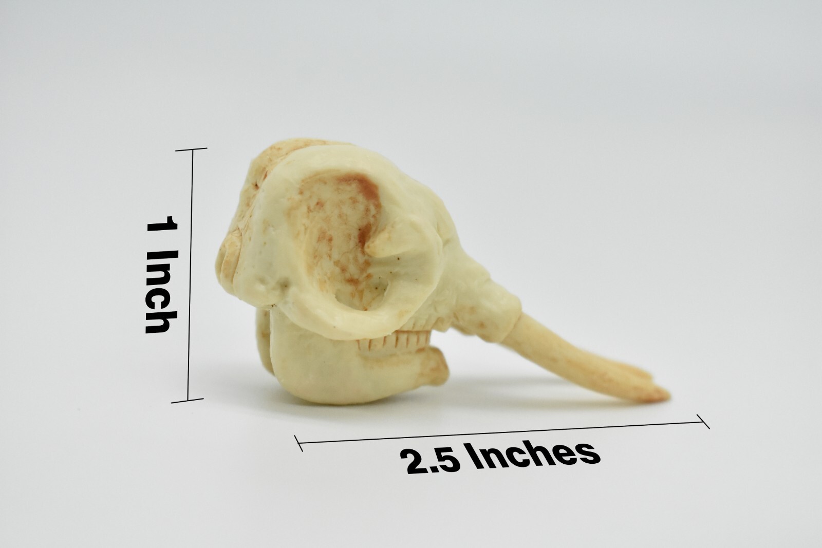 Elephant Skull, Very Nice Plastic Reproduction 2 1/2 inches long F4120 B193