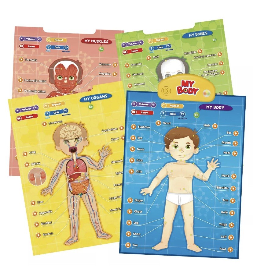 BEST LEARNING i-Poster My Body