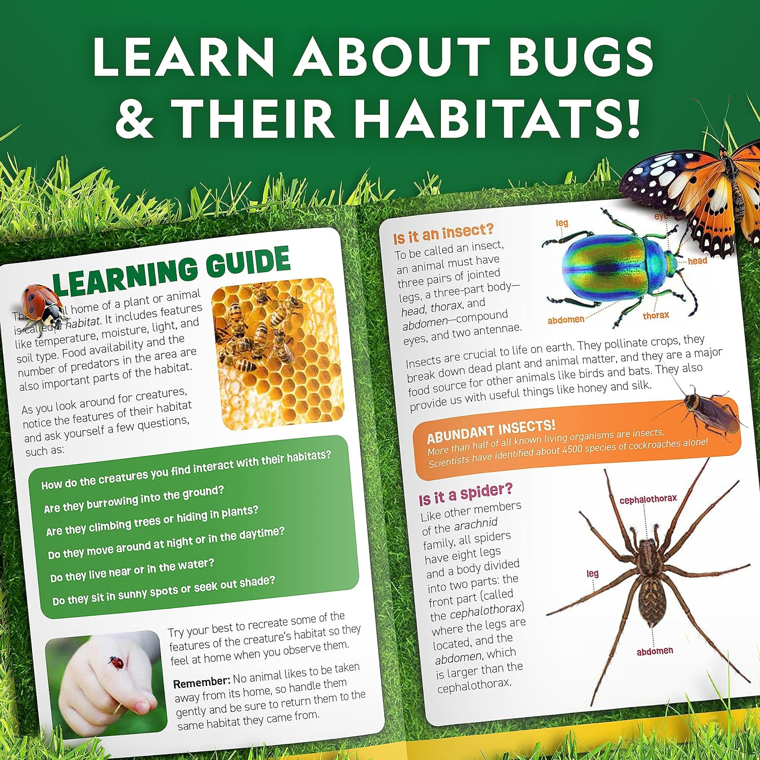 National Geographic Bug Catcher Kit for Kids – Kids Bug Habitat with Magnified V