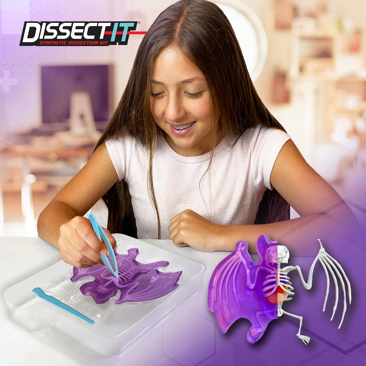 Dissect-It Simulated Synthetic Lab Dissection Toy, STEM Projects for Kids, Anima