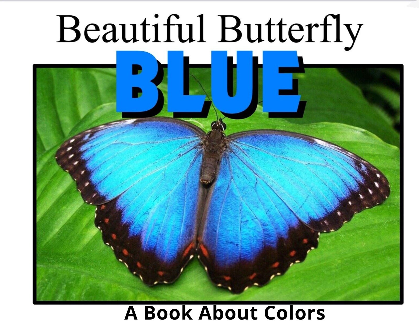 Colors Series – 6 Book Set | LEARNING COLORS | Spiral Bound Picture Book SET 1
