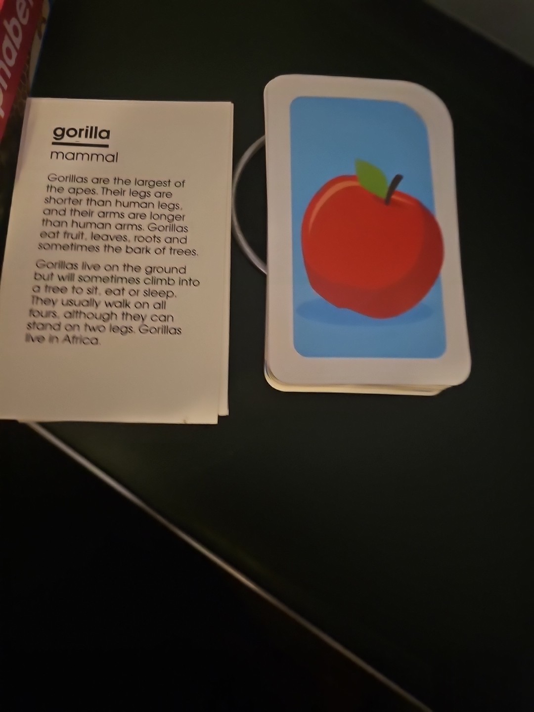 Set Of 2 Flash Cards For Ages 3 And Up