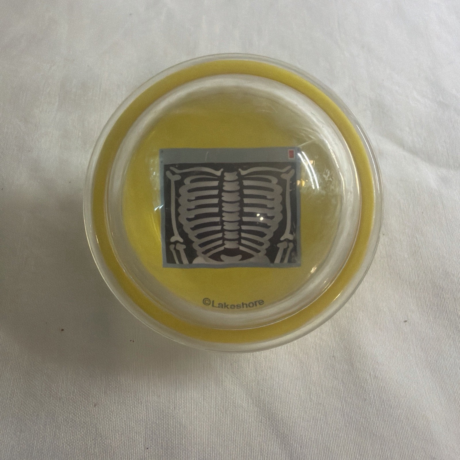 Lakeshore Float & Find Alphabet Bubbles Replacement Letter Xx X-RAY