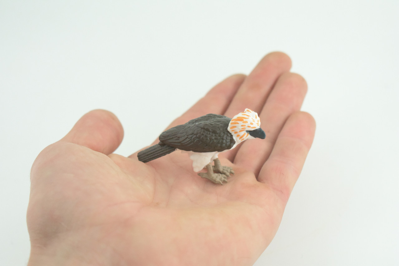 Philippine Eagle, Monkey Eagle Toy, Realistic Painted Rubber 2.5″ CH926 BB204