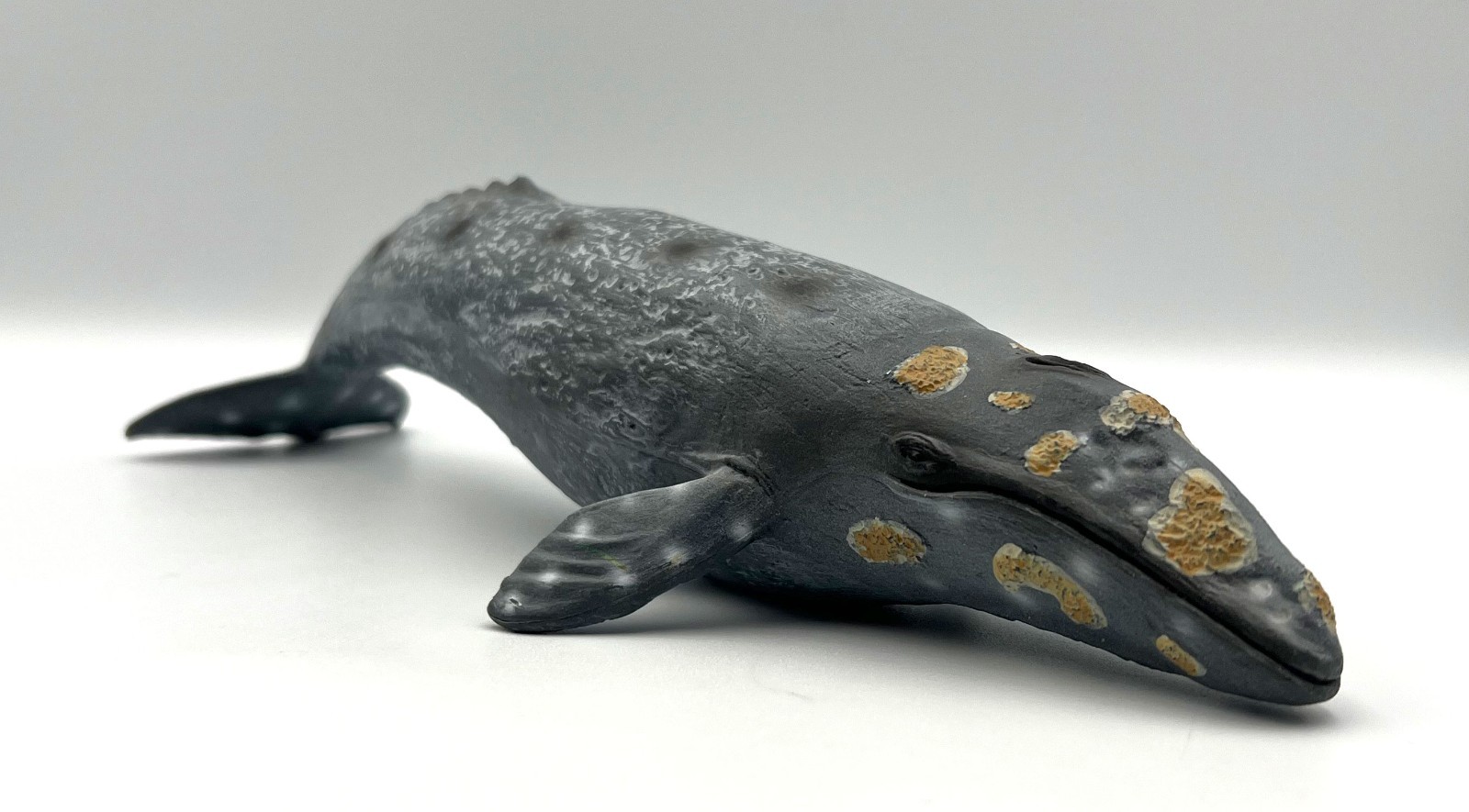 Mojo Grey Whale Figure 2018 Portugal Grauwal 10.5″