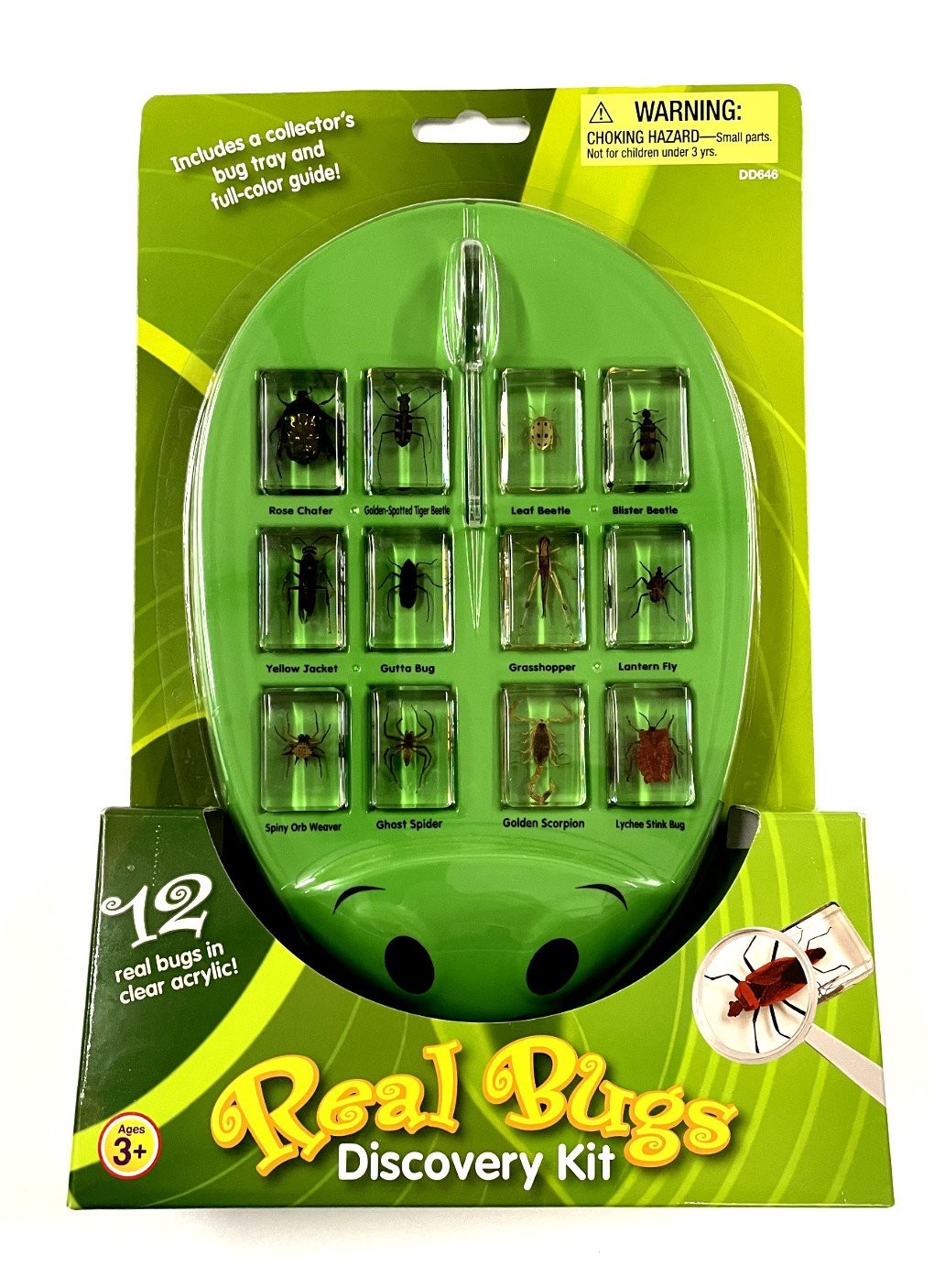 Lakeshore Learning Real Bugs Discovery Kit – 12 Actual Insect Specimens