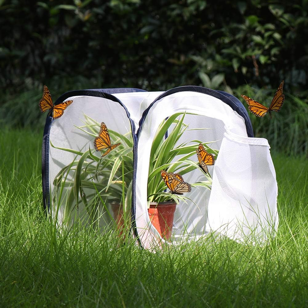 Insect and Butterfly Habitat Cage Terrarium Pop-Up 12 X 12 X 12 Inches