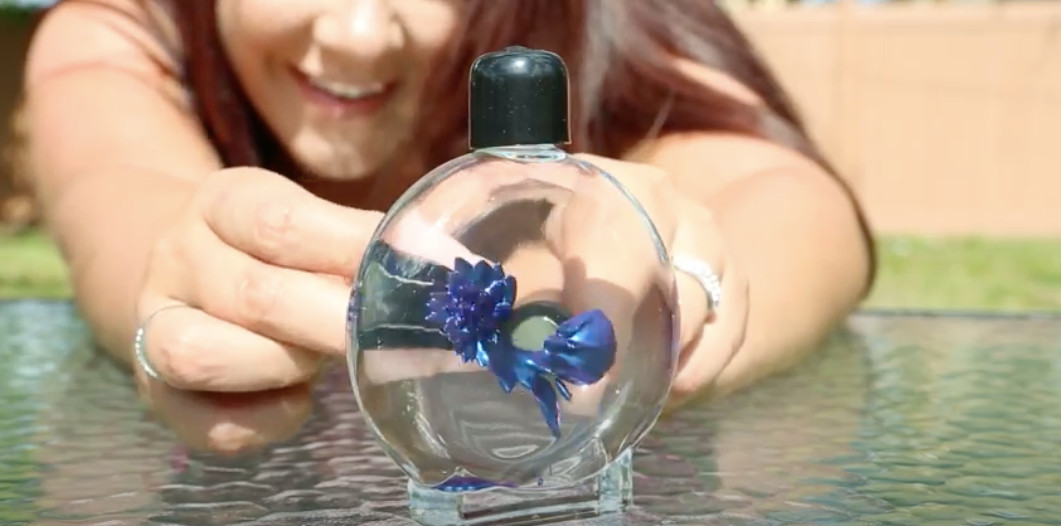 Colorful Ferrofluid in a Bottle (Blue)