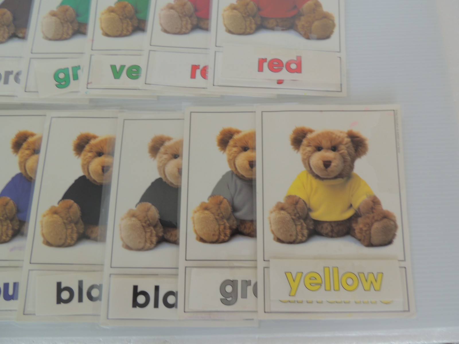 English & Spanish teddy bear Colors large 6 x 8-inch 19 pc